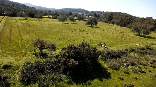 Teren niezagospodarowany na sprzedaż w Miasto Ibiza / Eivissa - 850 000 € (Ref: 9685150)