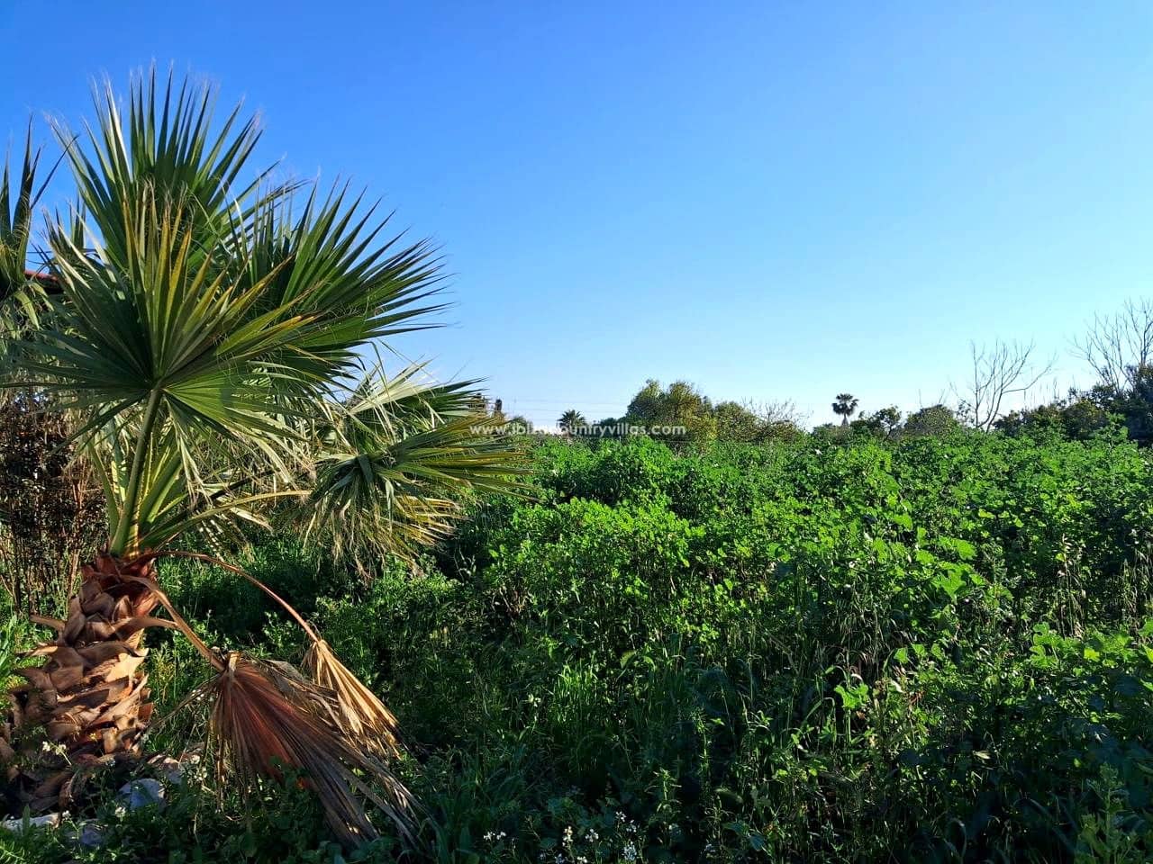 2 Zimmer Villa zu verkaufen in Ibiza / Eivissa Stadt - 895.000 € (Ref: 9714166)