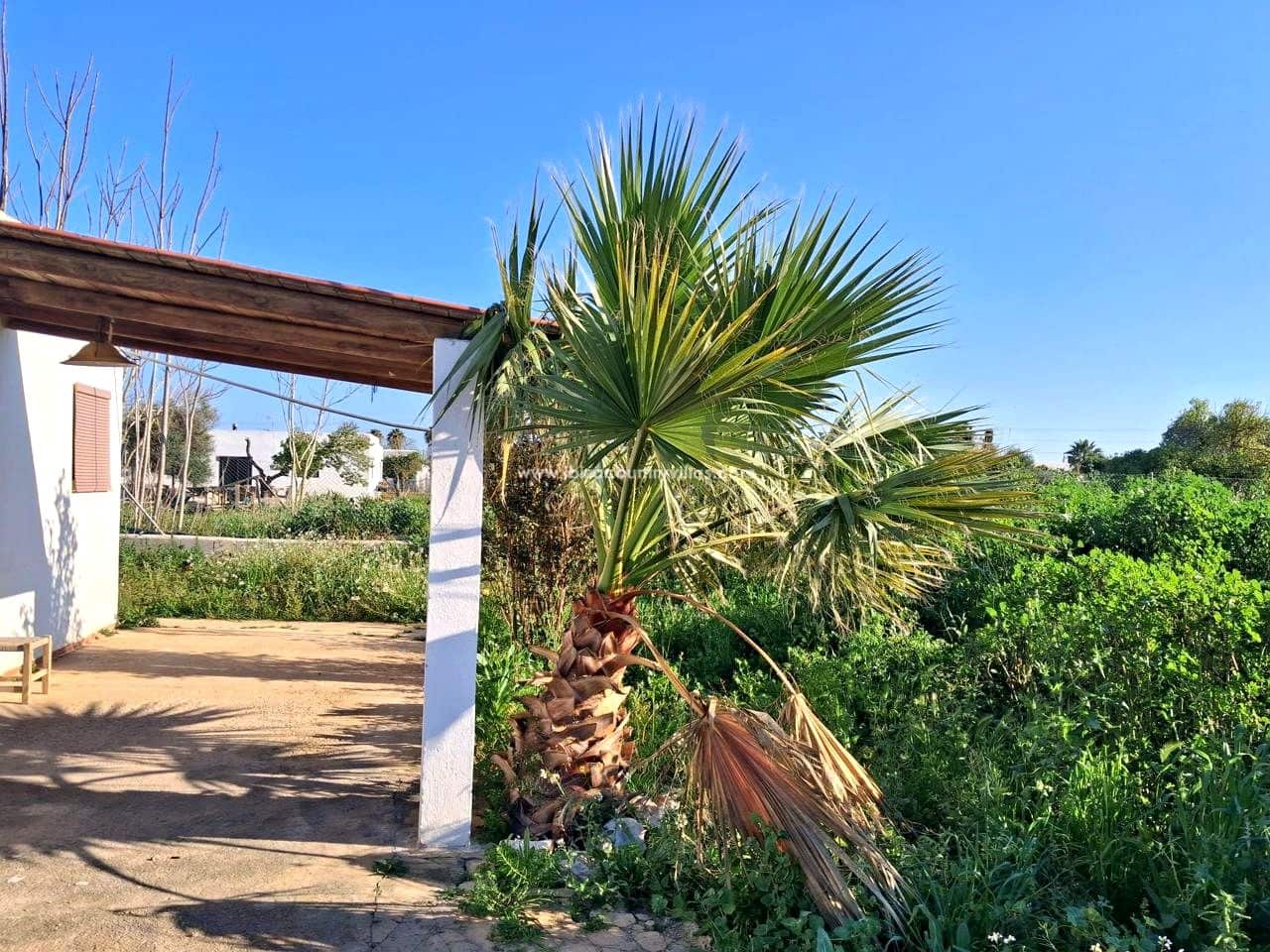 2 Zimmer Villa zu verkaufen in Ibiza / Eivissa Stadt - 895.000 € (Ref: 9714166)