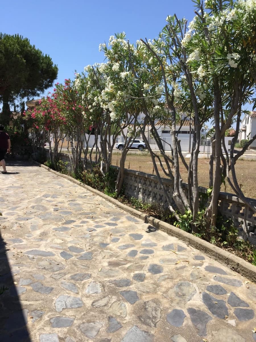 2 bedroom Villa for sale in Santa Margarida with garage - € 336,000 (Ref: 6288081)