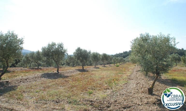 Building Plot for sale in Garriguella - € 210,000 (Ref: 7200143)