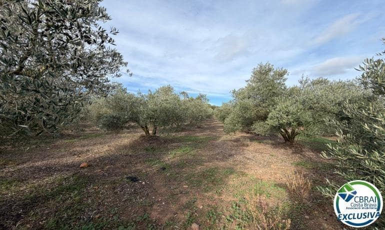 Grond te koop in Roses - € 110.000 (Ref: 9387817)