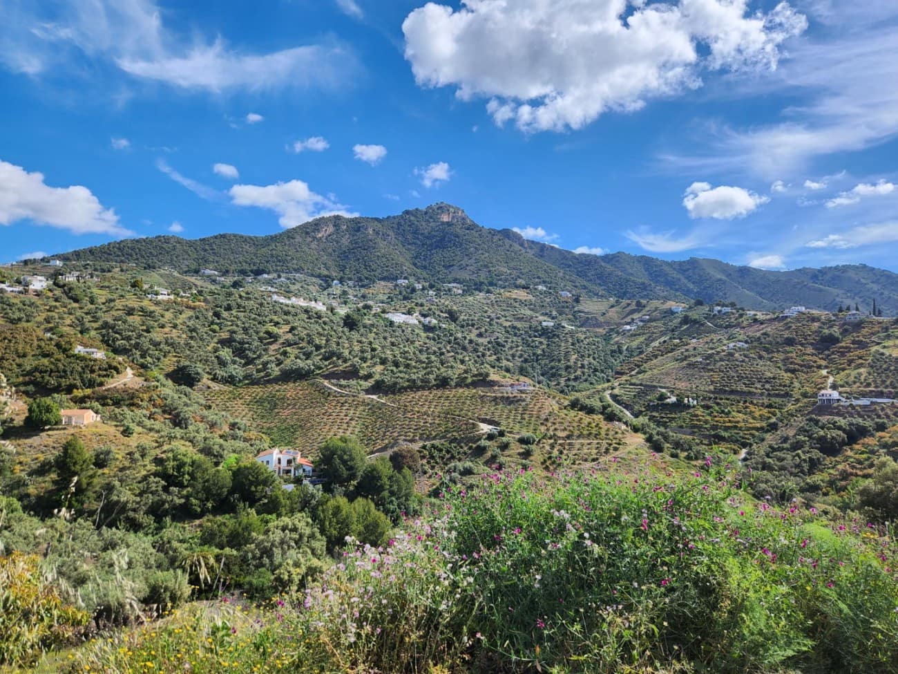 1 soveværelse Finca/Landehus til salg i Frigiliana med swimmingpool - € 249.000 (Ref: 8928498)