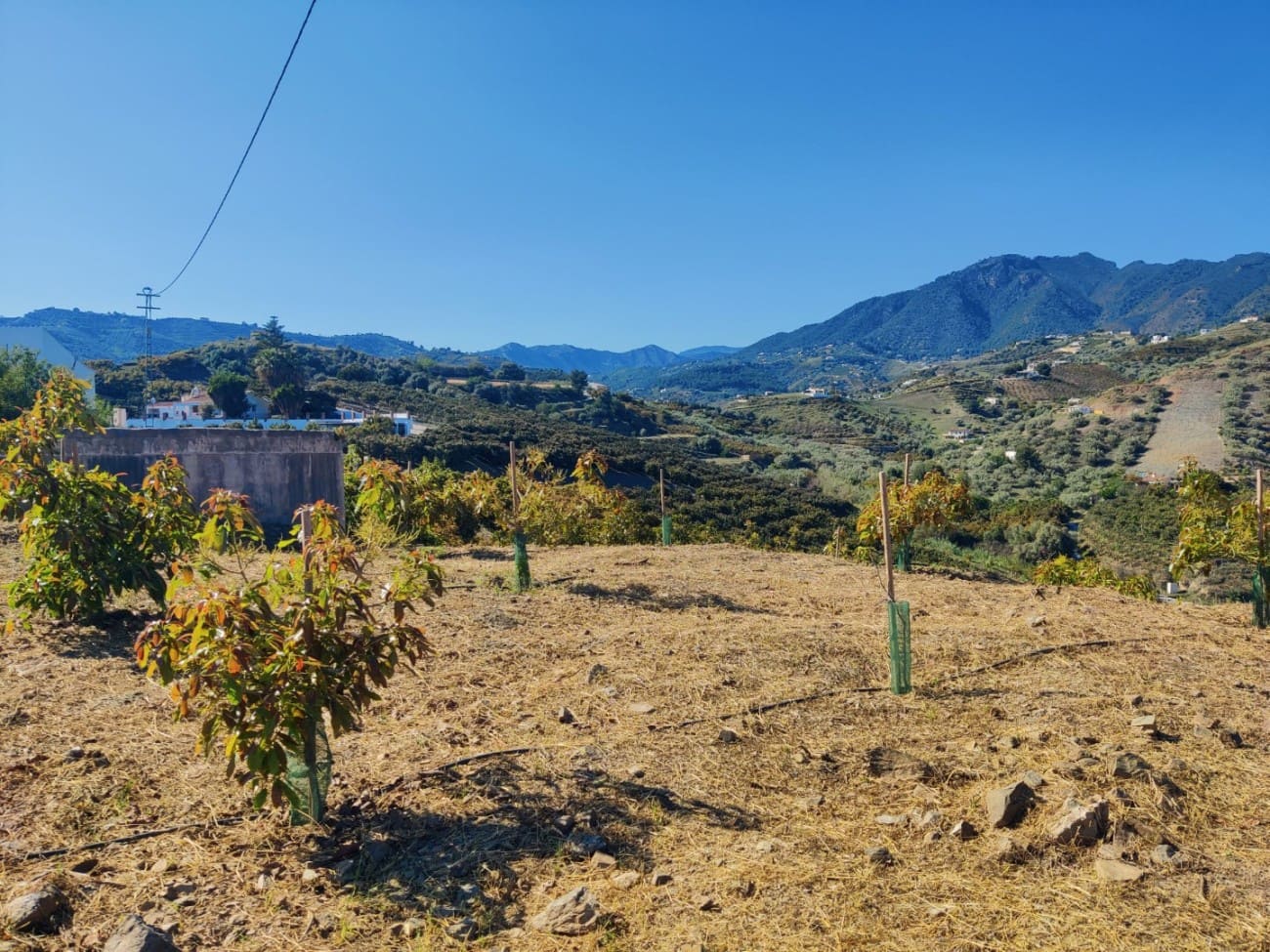 Grunde uden byggetilladelser til salg i Frigiliana - € 310.000 (Ref: 9081349)