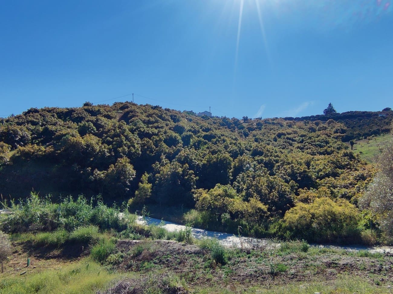 Grunde uden byggetilladelser til salg i Frigiliana - € 310.000 (Ref: 9081349)