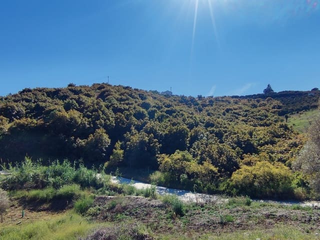 Rakentamaton maa myytävänä paikassa Frigiliana - 310 000 € (Ref: 9081349)