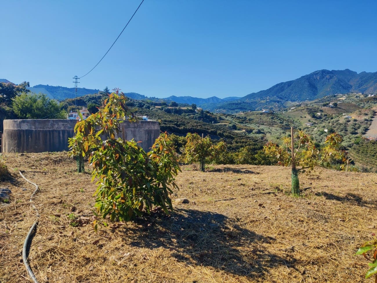 Grunde uden byggetilladelser til salg i Frigiliana - € 310.000 (Ref: 9081349)