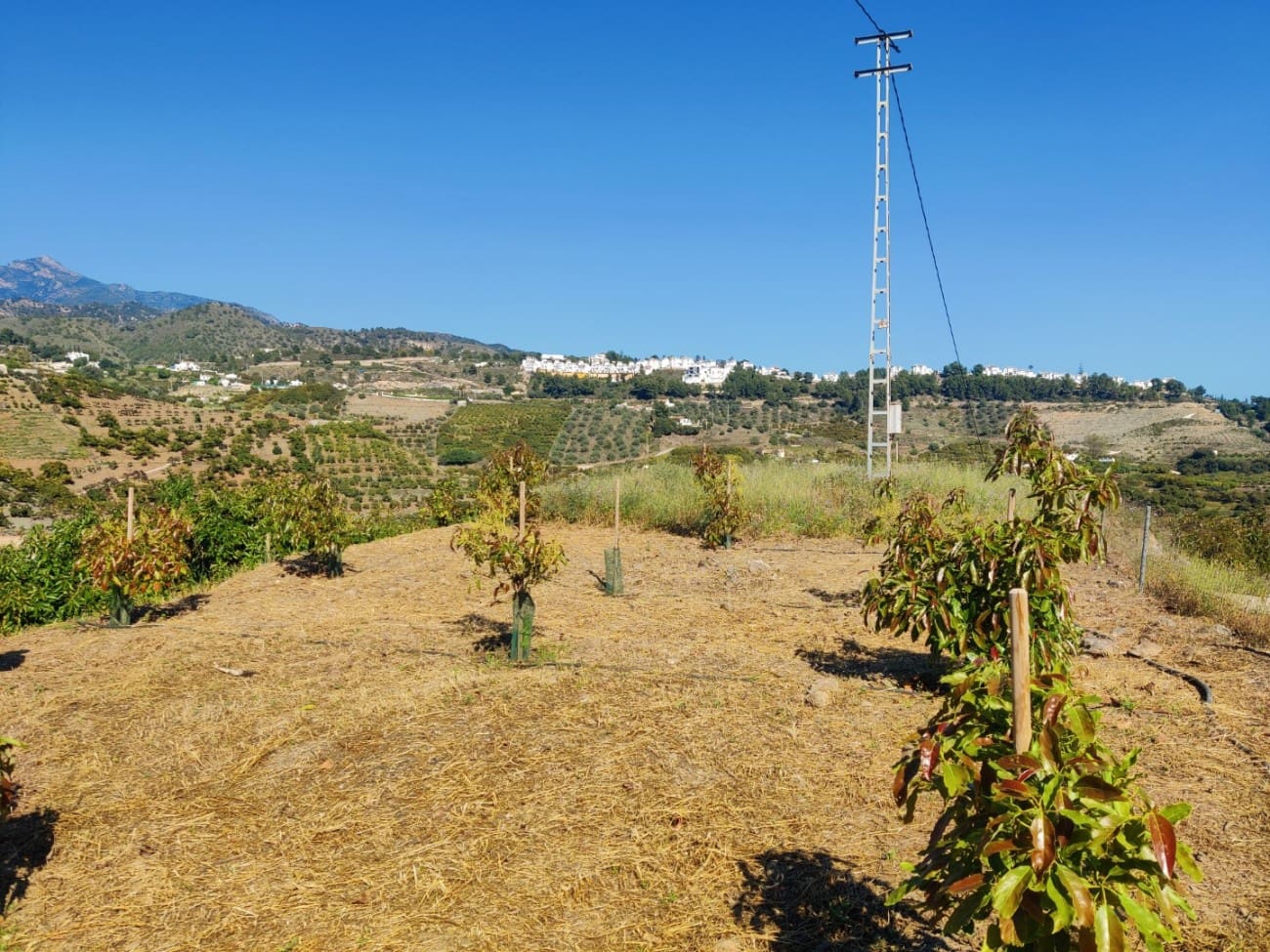 Grunde uden byggetilladelser til salg i Frigiliana - € 310.000 (Ref: 9081349)