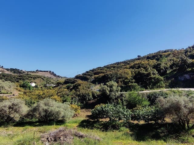 Rakentamaton maa myytävänä paikassa Frigiliana - 310 000 € (Ref: 9081349)
