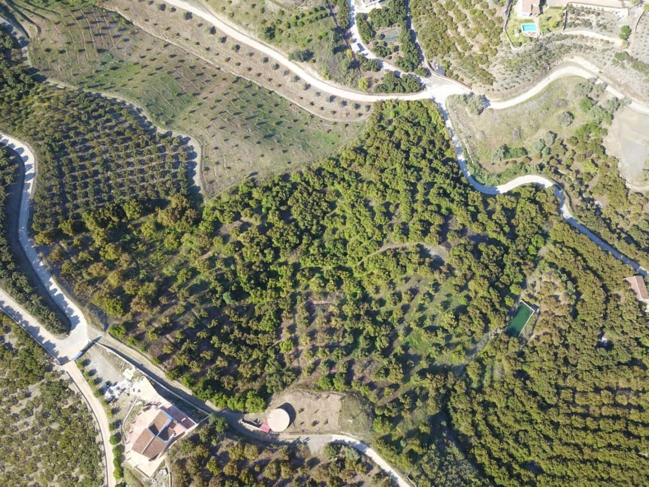 Grunde uden byggetilladelser til salg i Frigiliana - € 310.000 (Ref: 9081349)