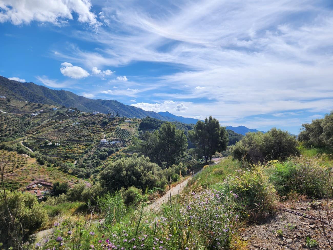 1 soveværelse Finca/Landehus til salg i Frigiliana med swimmingpool - € 239.000 (Ref: 9508226)