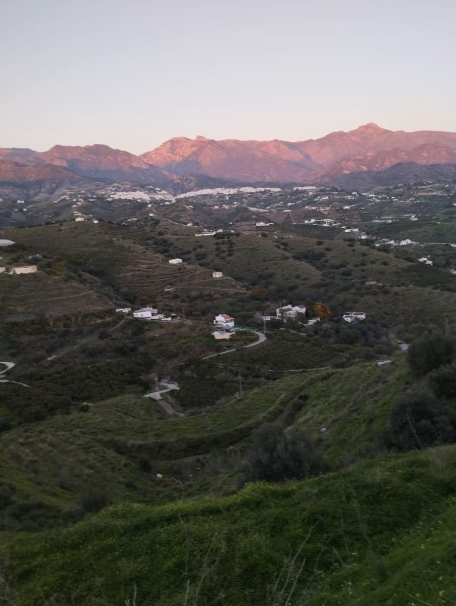 Bauplatz zu verkaufen in Torrox - 159.000 € (Ref: 9643695)