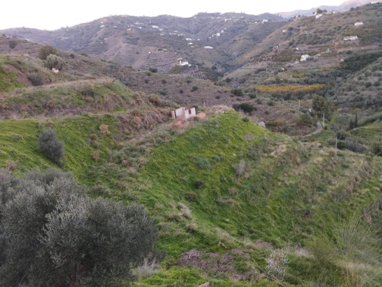 Bauplatz zu verkaufen in Torrox - 159.000 € (Ref: 9643695)