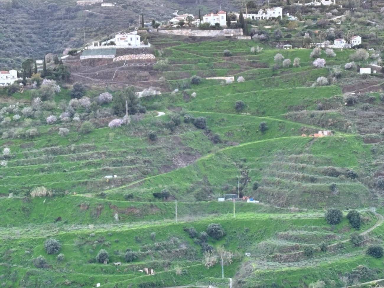 Bauplatz zu verkaufen in Torrox - 159.000 € (Ref: 9643695)