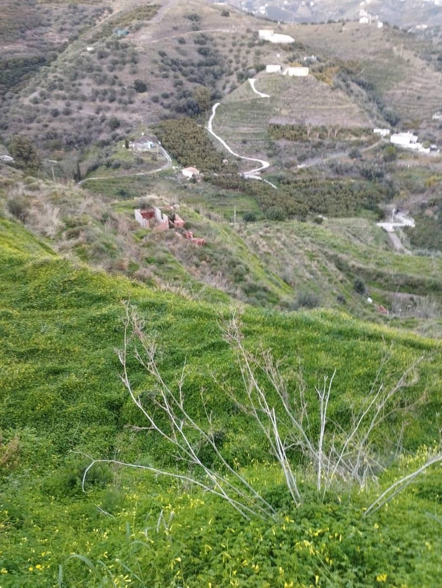 Bauplatz zu verkaufen in Torrox - 159.000 € (Ref: 9643695)