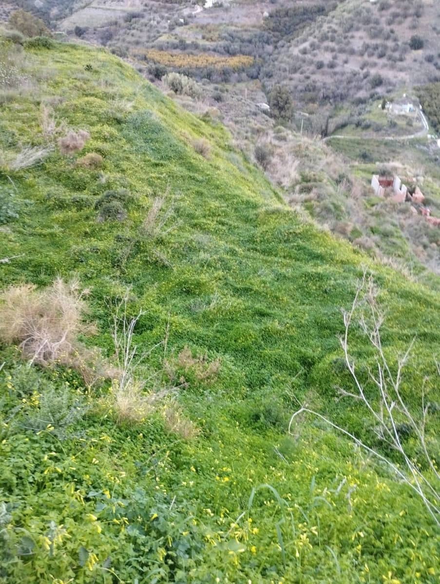 Bauplatz zu verkaufen in Torrox - 159.000 € (Ref: 9643695)