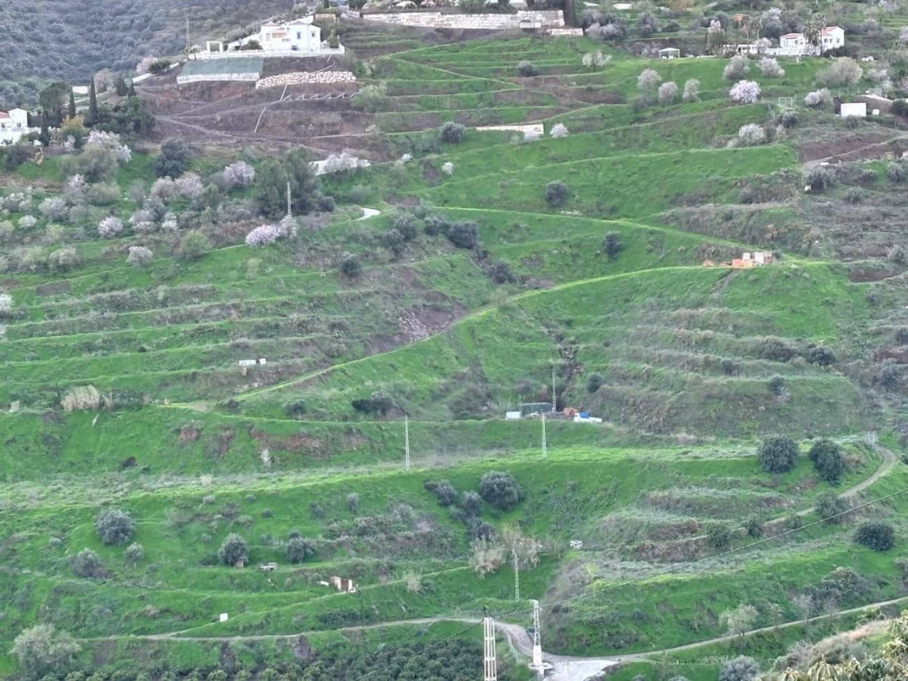 Bauplatz zu verkaufen in Torrox - 159.000 € (Ref: 9643695)