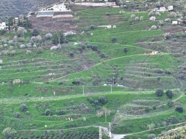 Bauplatz zu verkaufen in Torrox - 159.000 € (Ref: 9643695)