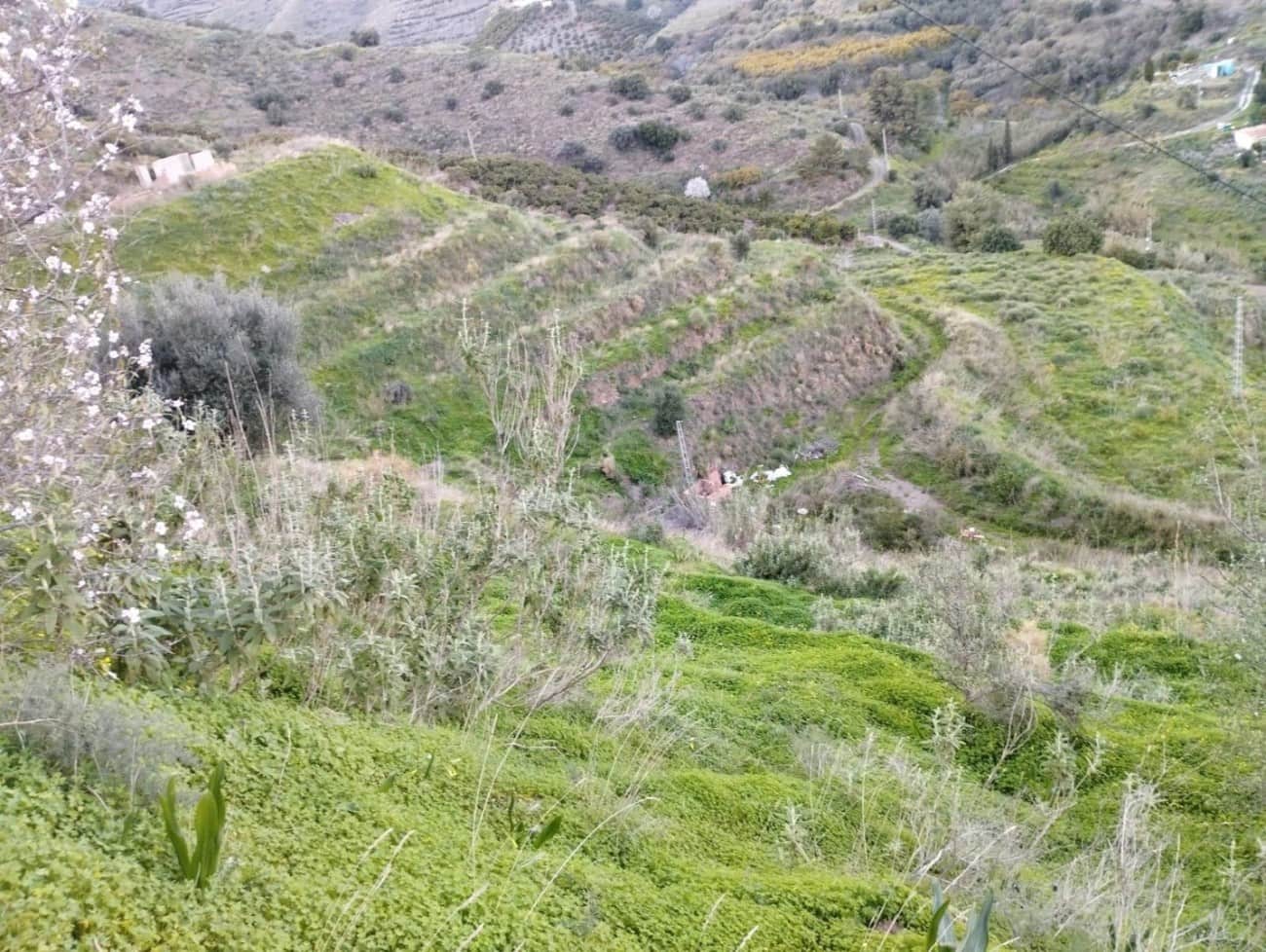 Bauplatz zu verkaufen in Torrox - 159.000 € (Ref: 9643695)