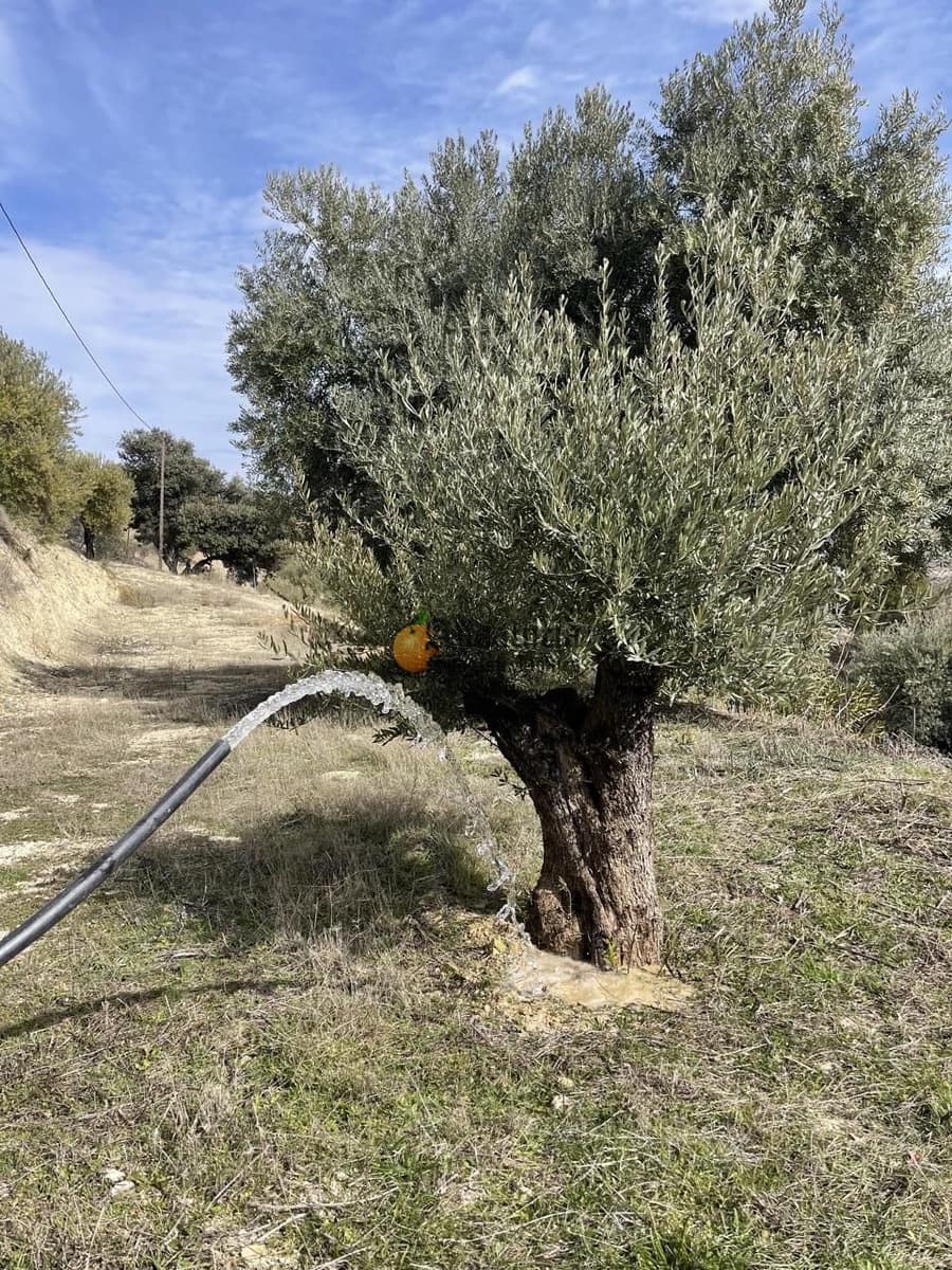 6 soveværelse Villa til salg i Illora med swimmingpool garage - € 250.000 (Ref: 7402079)