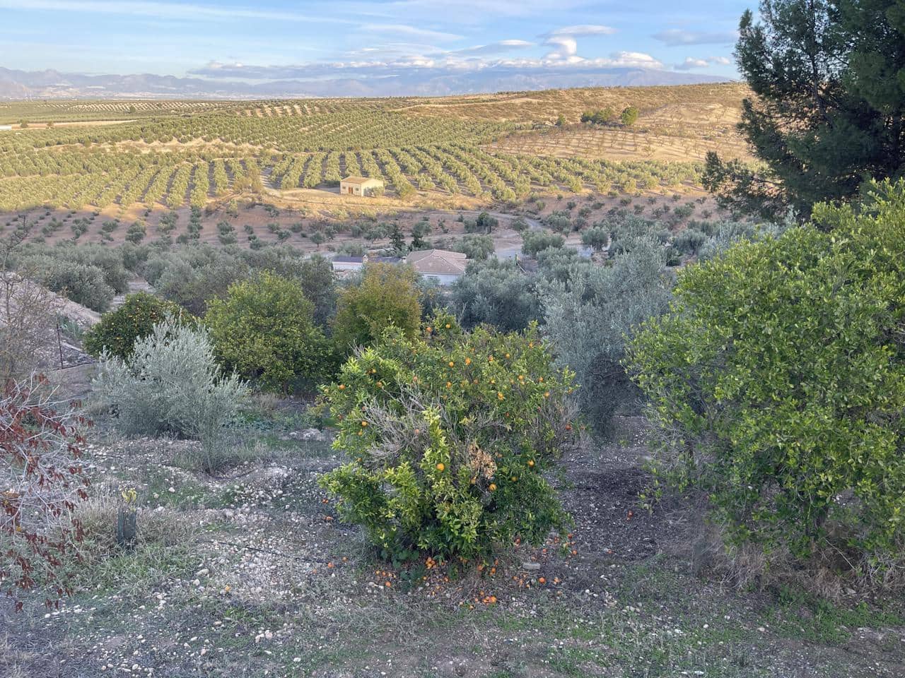 2 soveværelse Villa til salg i Moraleda de Zafayona med swimmingpool - € 85.000 (Ref: 7897327)