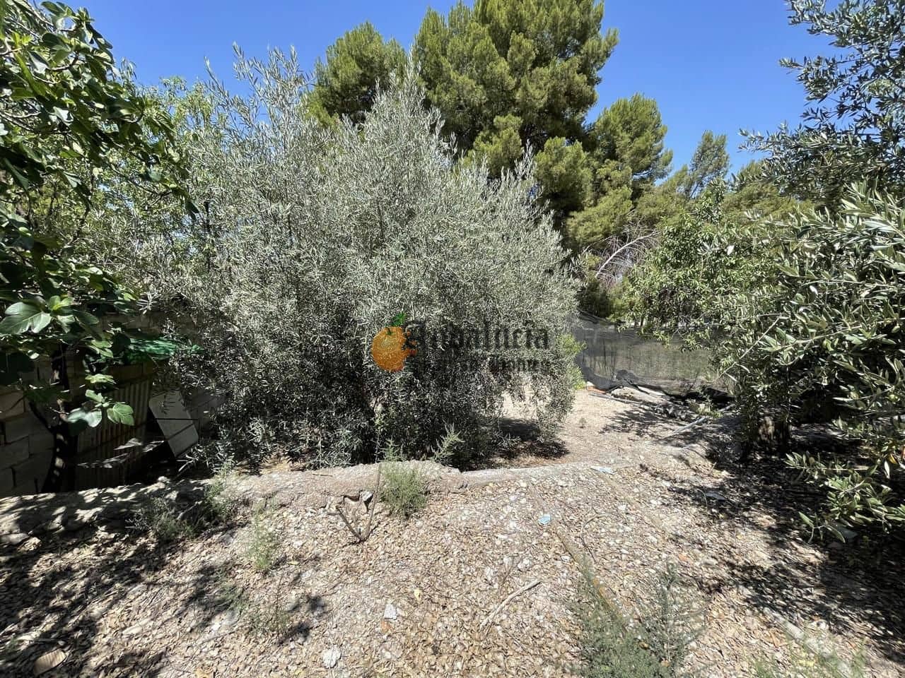 3 soveværelse Villa til salg i El Turro med garage - € 45.000 (Ref: 8167323)