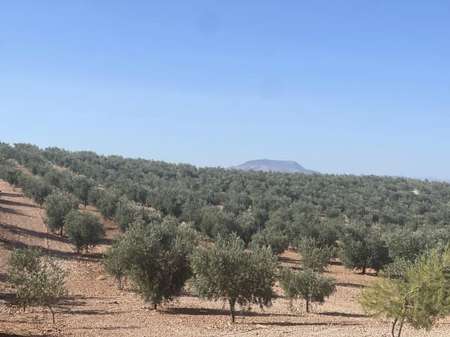 4 soveværelse Villa til salg i Santa Cruz del Comercio - € 750.000 (Ref: 8440001)