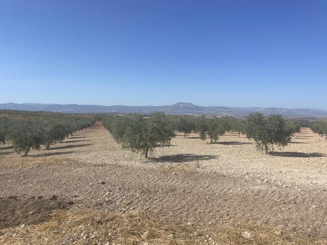 4 soveværelse Villa til salg i Santa Cruz del Comercio - € 750.000 (Ref: 8440001)