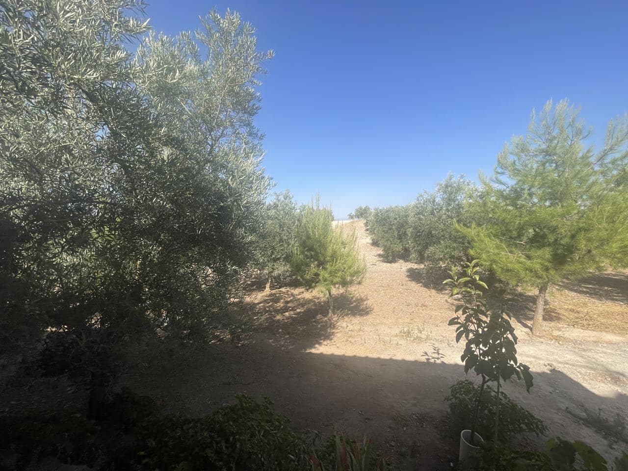 4 soveværelse Villa til salg i Santa Cruz del Comercio - € 750.000 (Ref: 8440001)