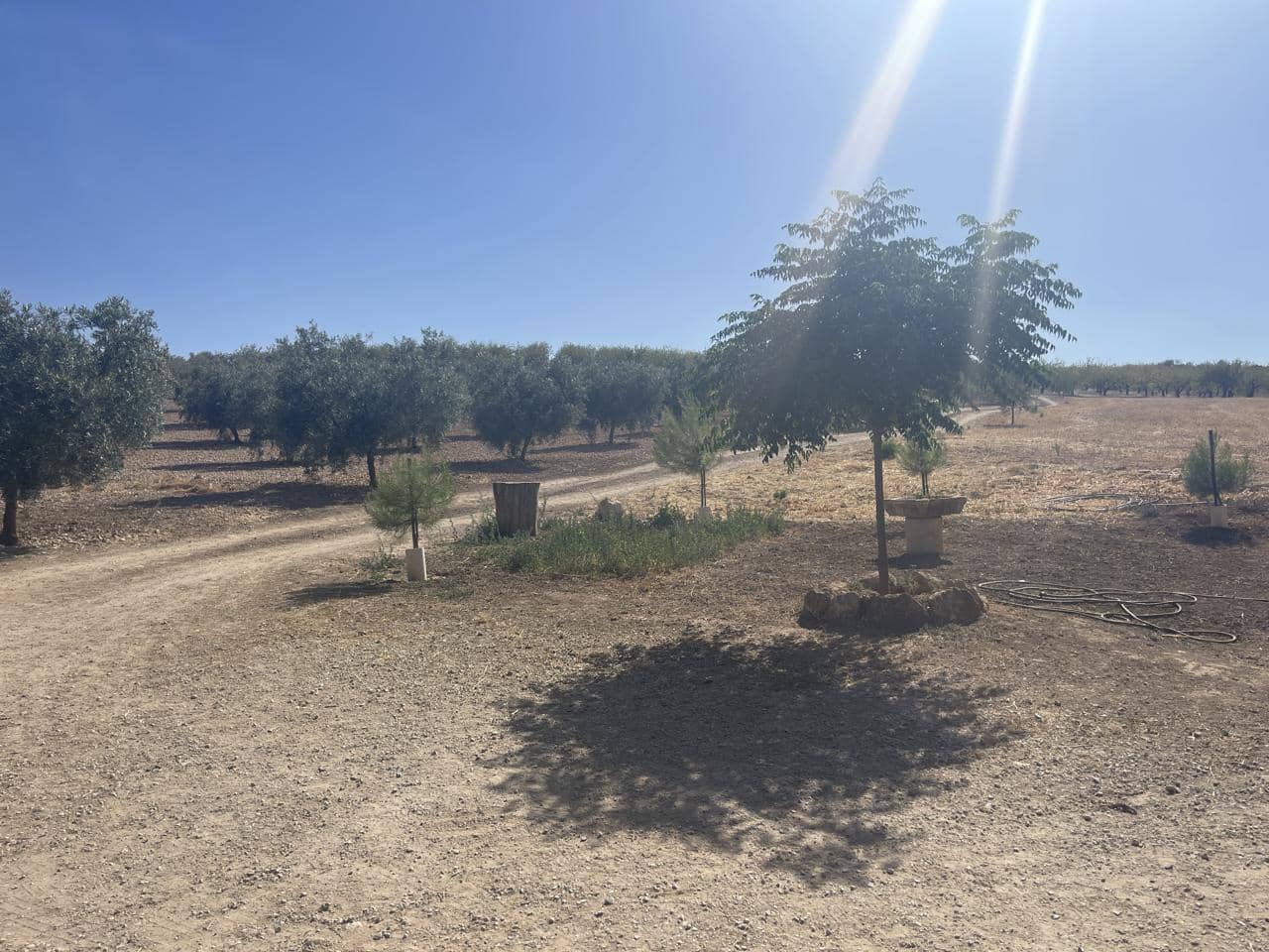 4 slaapkamer Villa te koop in Santa Cruz del Comercio met garage - € 750.000 (Ref: 8440001)