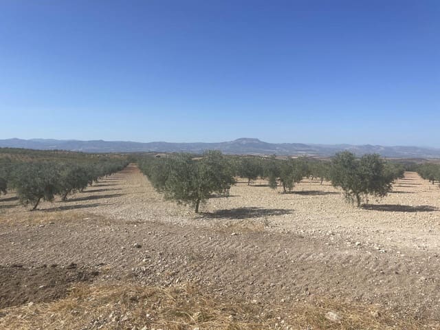 4 soverom Villa til salgs i Santa Cruz del Comercio med garasje - € 750 000 (Ref: 8440001)