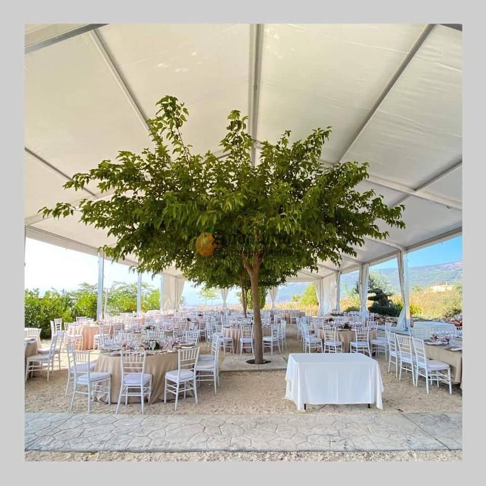 5 chambre Villa/Maison à vendre à Illora avec piscine garage - 700 000 € (Ref: 8514074)