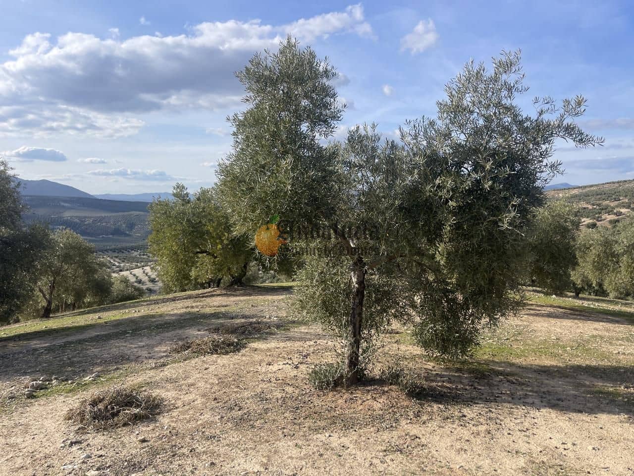 3 soveværelse Villa til salg i Salar med swimmingpool - € 250.000 (Ref: 8875393)