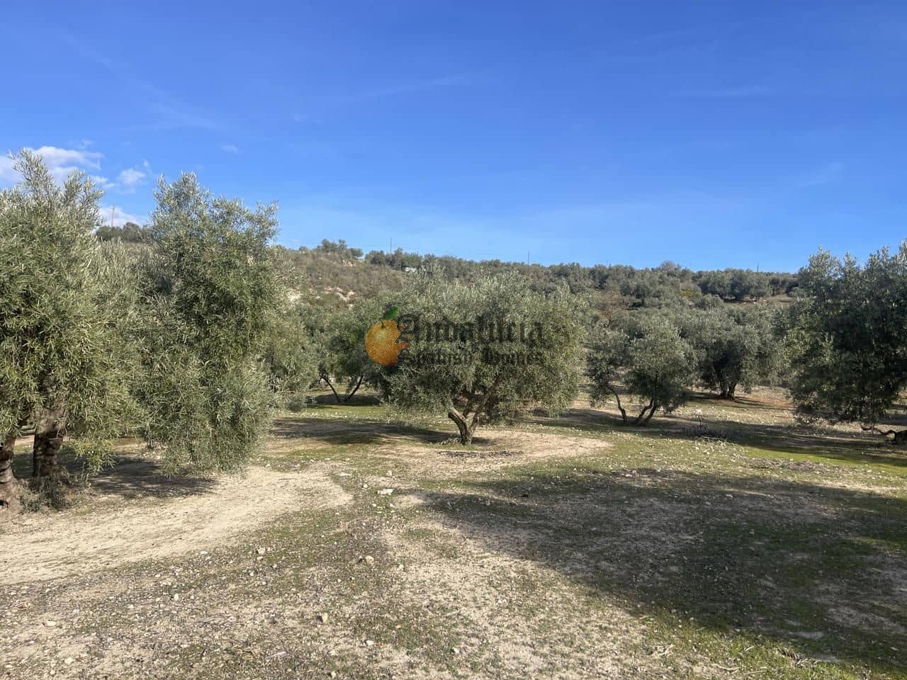 3 soveværelse Villa til salg i Salar med swimmingpool - € 250.000 (Ref: 8875393)