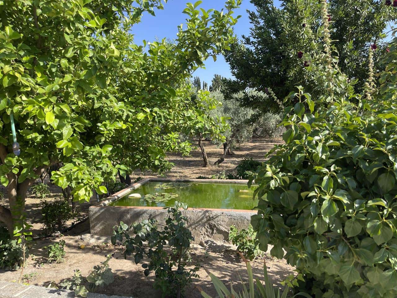 3 bedroom Villa for sale in Moraleda de Zafayona with pool - € 212,000 (Ref: 9168993)