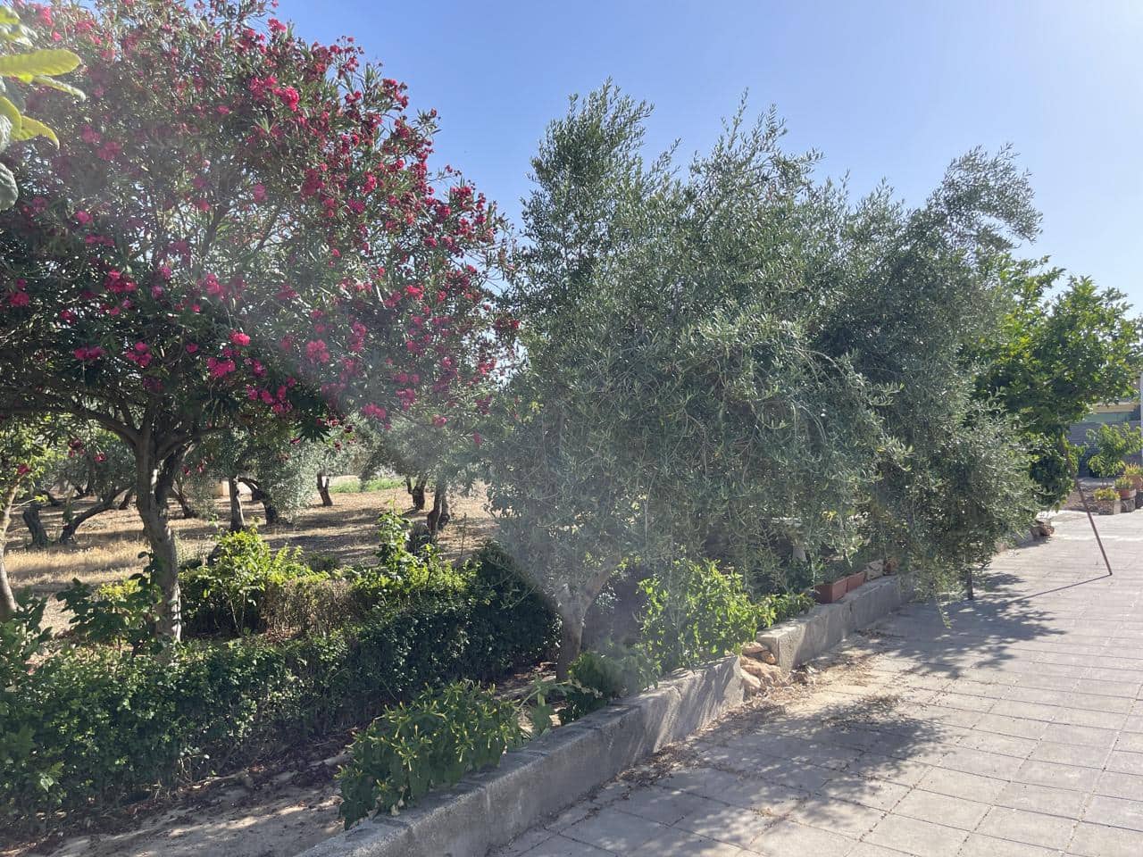 3 bedroom Villa for sale in Moraleda de Zafayona with pool - € 212,000 (Ref: 9168993)