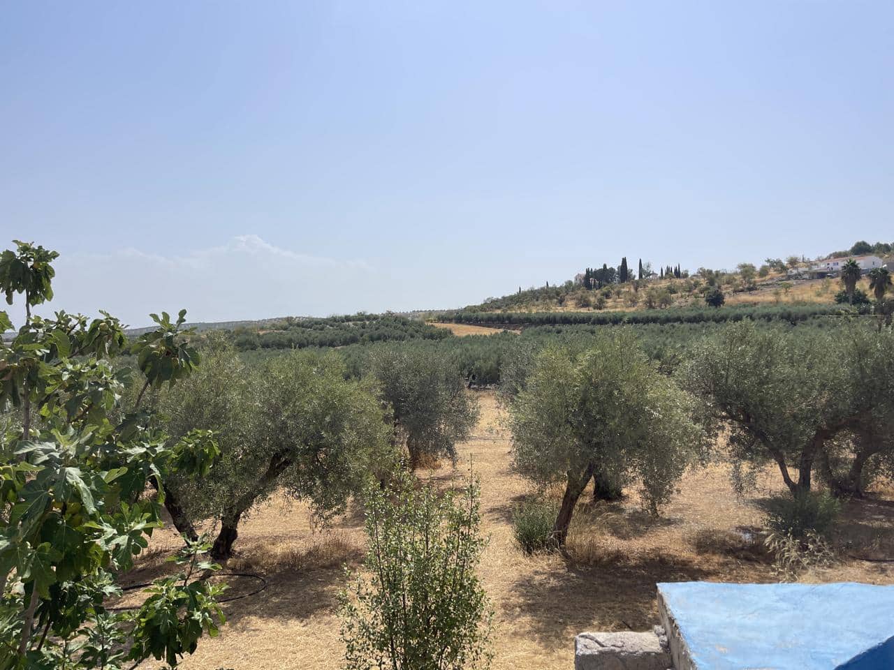 1 soveværelse Villa til salg i Moraleda de Zafayona - € 70.000 (Ref: 9209043)