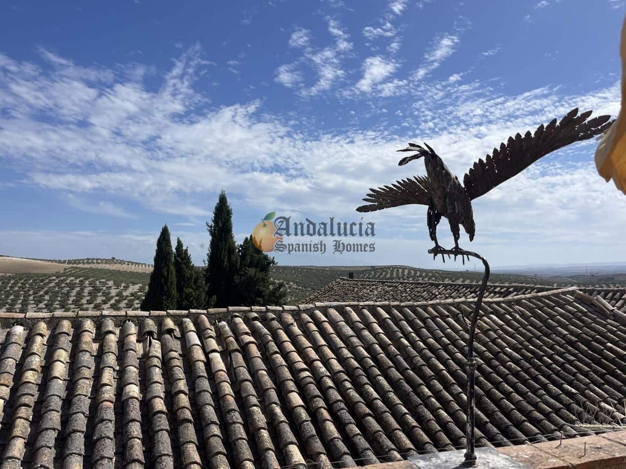 3 soveværelse Villa til salg i Bracana - € 79.000 (Ref: 9302912)