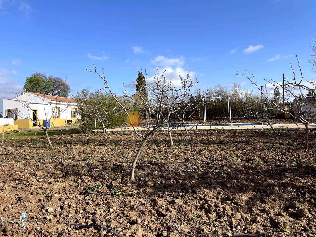 3 soveværelse Villa til salg i Moraleda de Zafayona med swimmingpool - € 145.000 (Ref: 9660774)