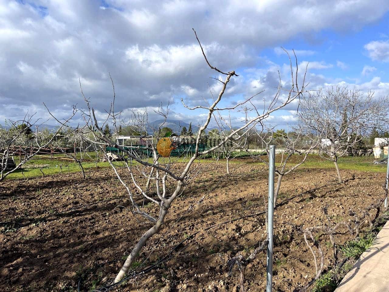 3 soveværelse Villa til salg i Moraleda de Zafayona med swimmingpool - € 145.000 (Ref: 9660774)