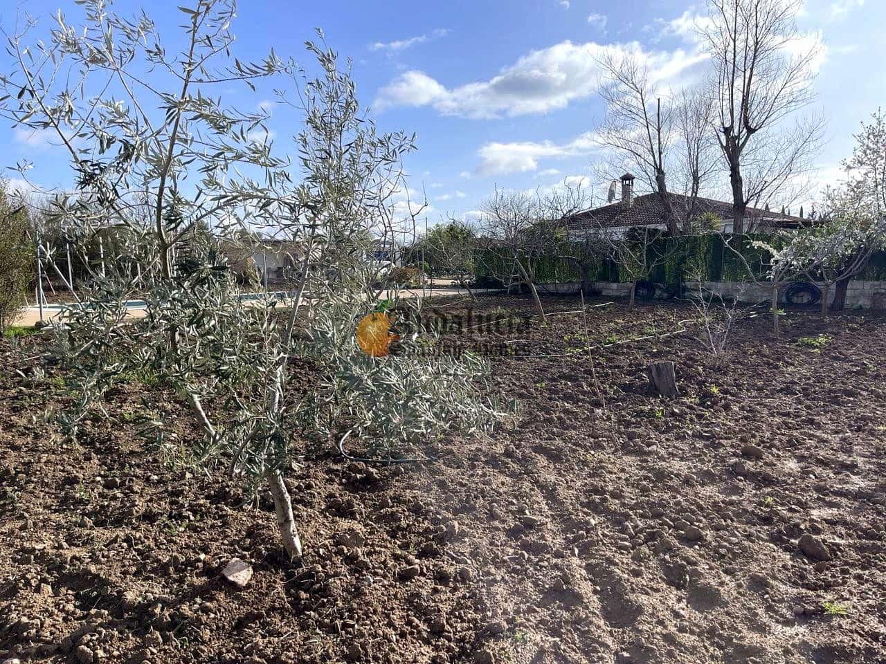 3 soveværelse Villa til salg i Moraleda de Zafayona med swimmingpool - € 145.000 (Ref: 9660774)