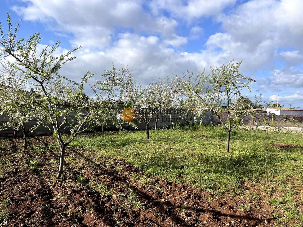 3 soveværelse Villa til salg i Moraleda de Zafayona med swimmingpool - € 145.000 (Ref: 9660774)