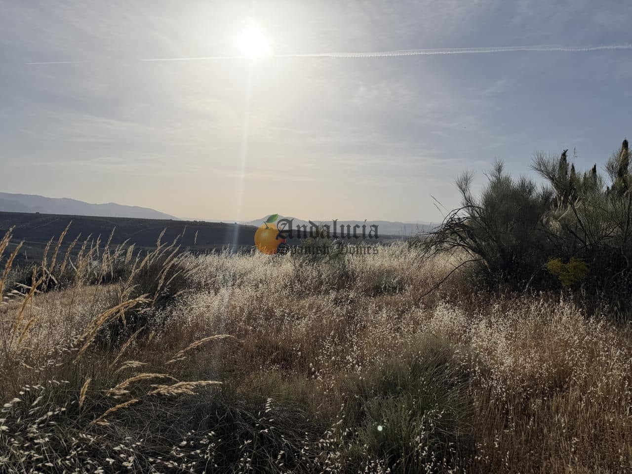 Undeveloped Land for sale in Moraleda de Zafayona - € 42,000 (Ref: 9858908)