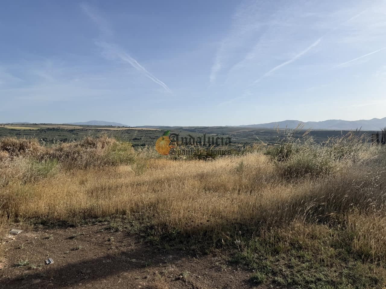 Undeveloped Land for sale in Moraleda de Zafayona - € 42,000 (Ref: 9858908)