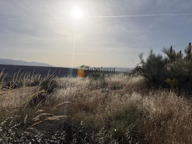 Ubebygd land til salgs i Moraleda de Zafayona - € 42 000 (Ref: 9858908)