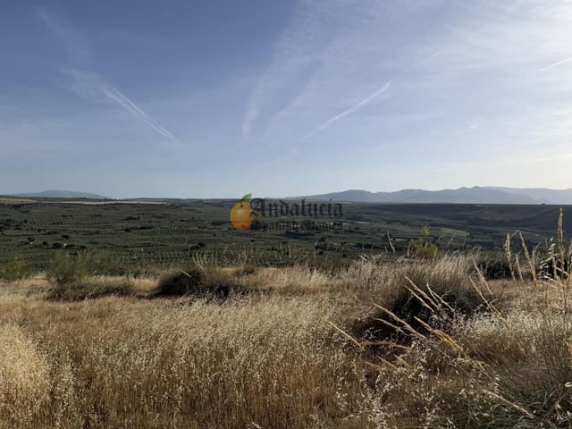 Ubebygd land til salgs i Moraleda de Zafayona - € 42 000 (Ref: 9858908)
