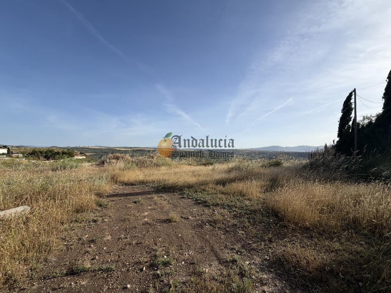 Undeveloped Land for sale in Moraleda de Zafayona - € 42,000 (Ref: 9858908)
