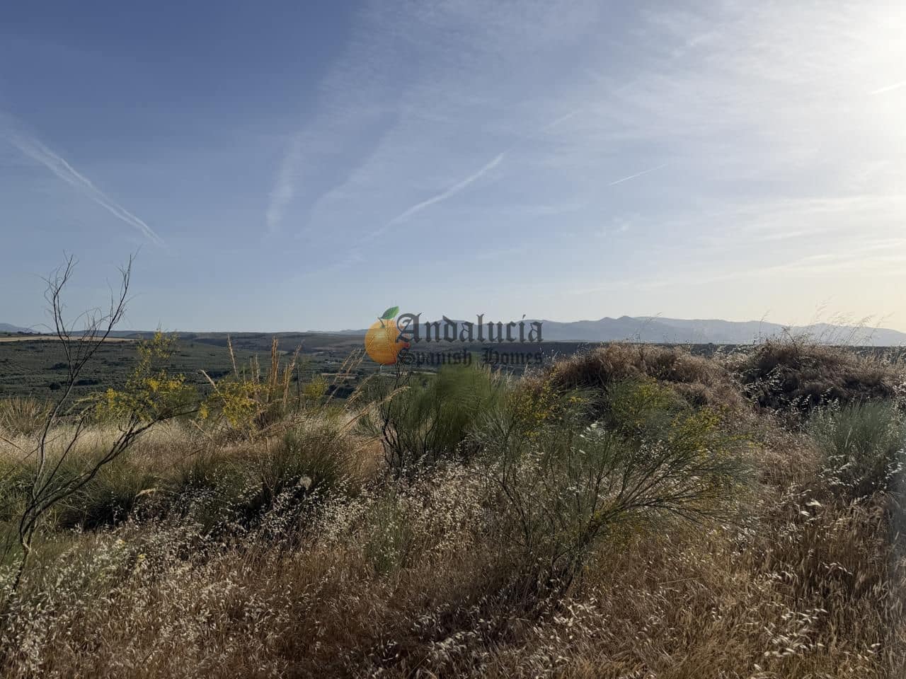 Undeveloped Land for sale in Moraleda de Zafayona - € 42,000 (Ref: 9858908)