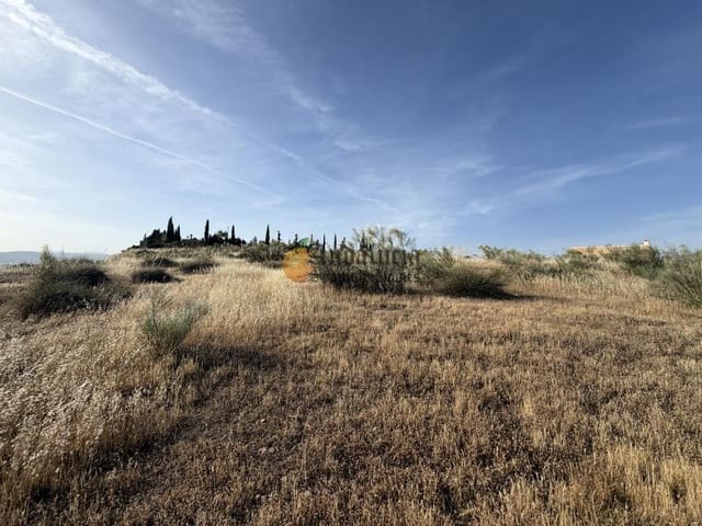 Ubebygd land til salgs i Moraleda de Zafayona - € 42 000 (Ref: 9858908)