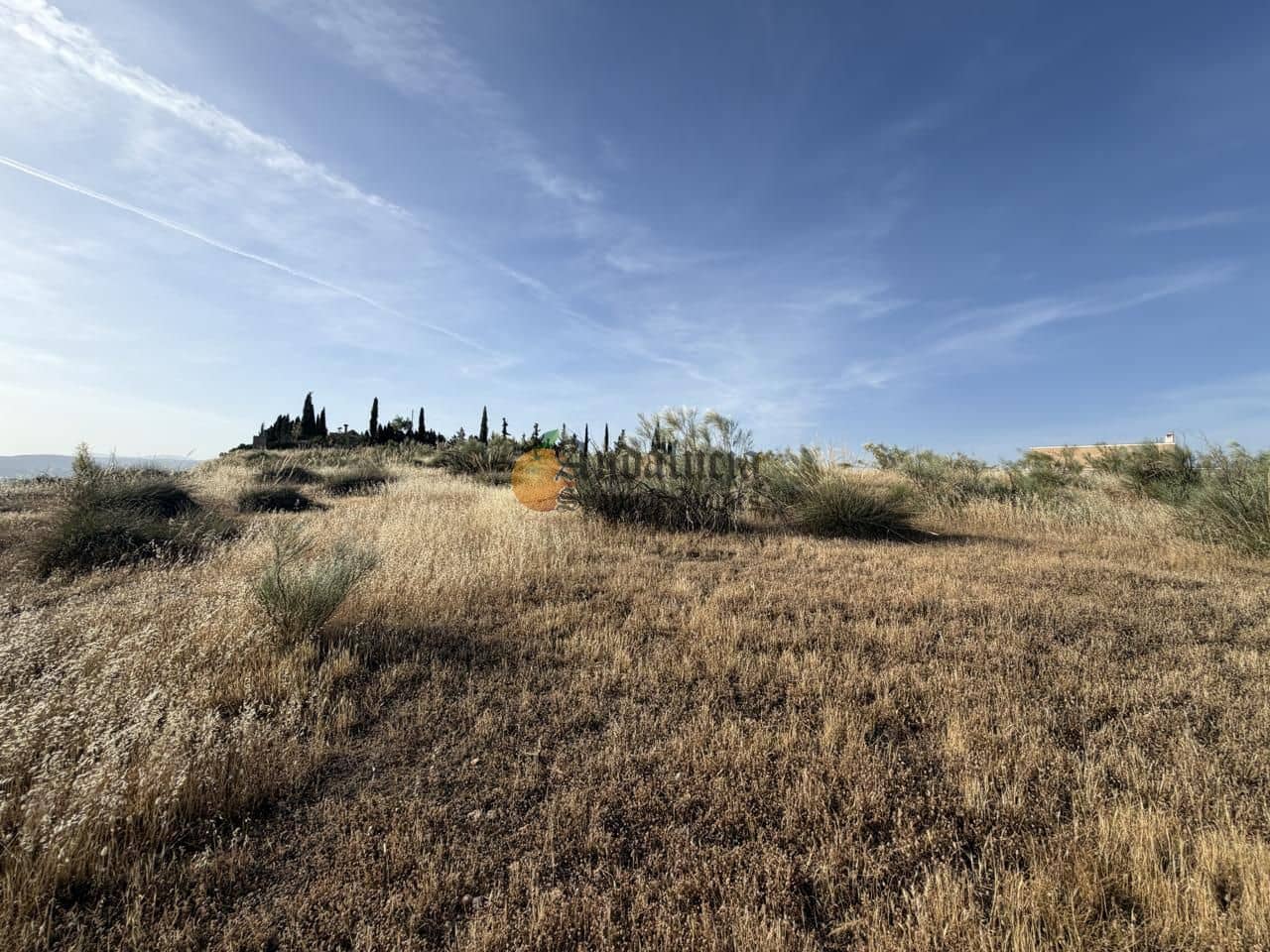 Undeveloped Land for sale in Moraleda de Zafayona - € 42,000 (Ref: 9858908)